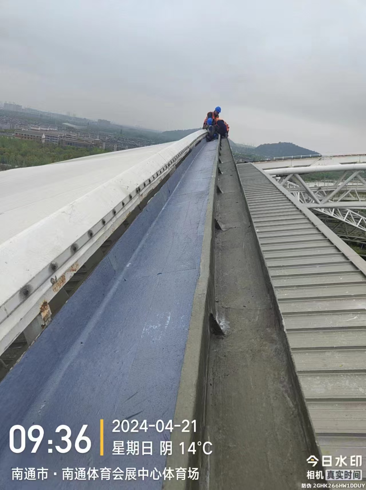 138743bf5e87ff9105353ba7c10e1b3